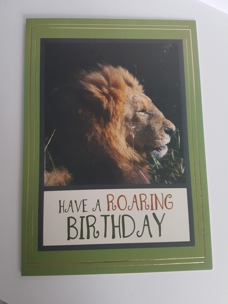 Have A ROARING Birthday Lion Handmade Birthday Card