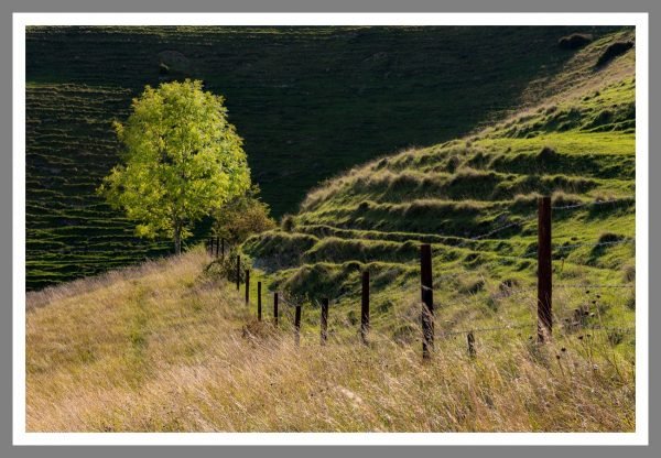 Cley Hill