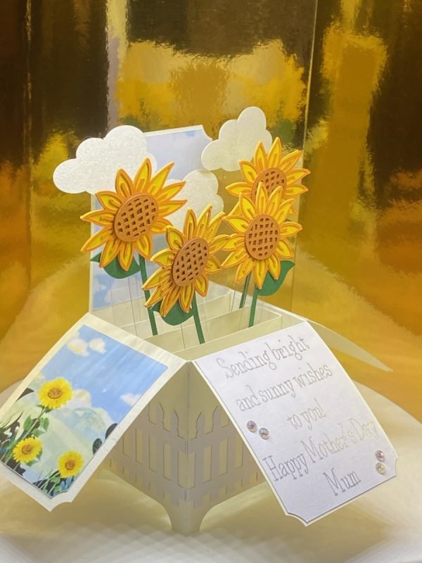 Pop Up Box Mother's Day /Birthday Card